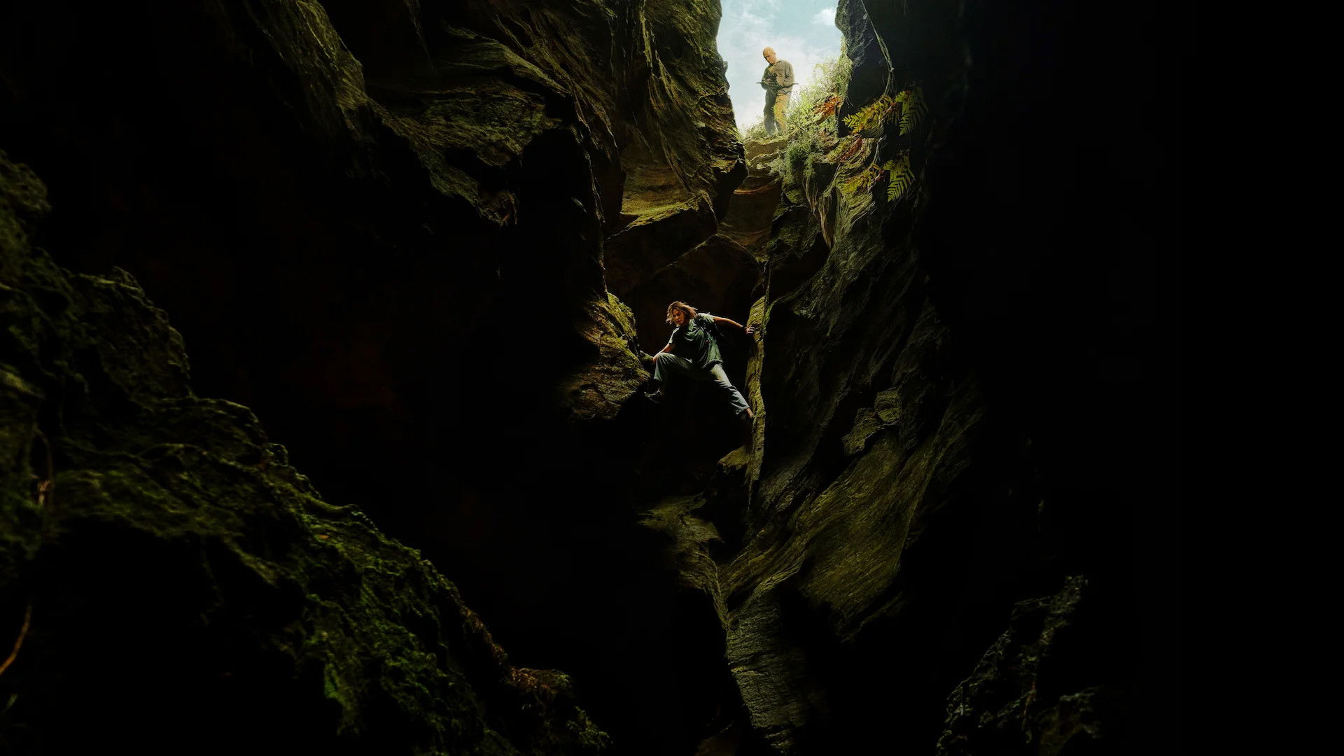 Backdrop of Depredador dominante